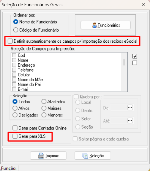 Tela de seleção de funcionários gerais evidenciando o checkbox de definição automática dos campos para importação e o checkbox de geração de xls.
