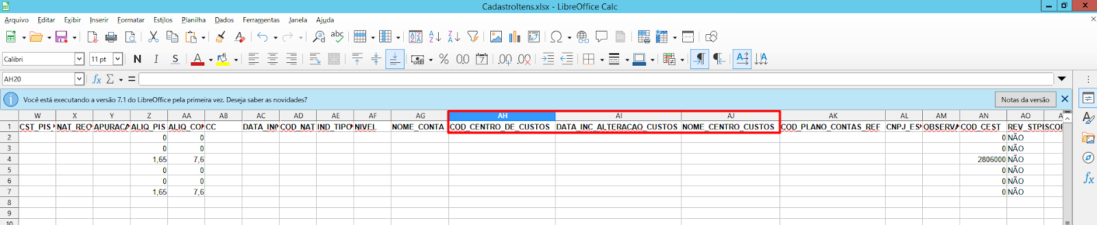 Planilha Excel exibindo colunas de código e nome do centro de custos para preenchimento em lote.