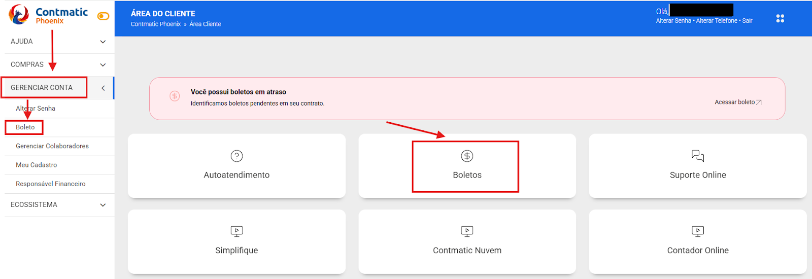 Menu principal da Área do Cliente com destaque em vermelho nas opções "Gerenciar Conta", "Boleto" e no card central de "Boletos".