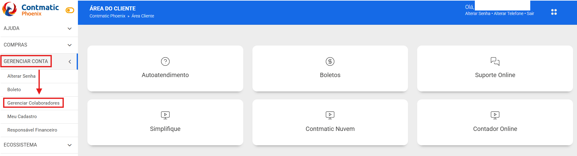 Menu lateral da Área do Cliente Contmatic destacando a opção "Gerenciar Conta" e o submenu "Gerenciar Colaboradores".