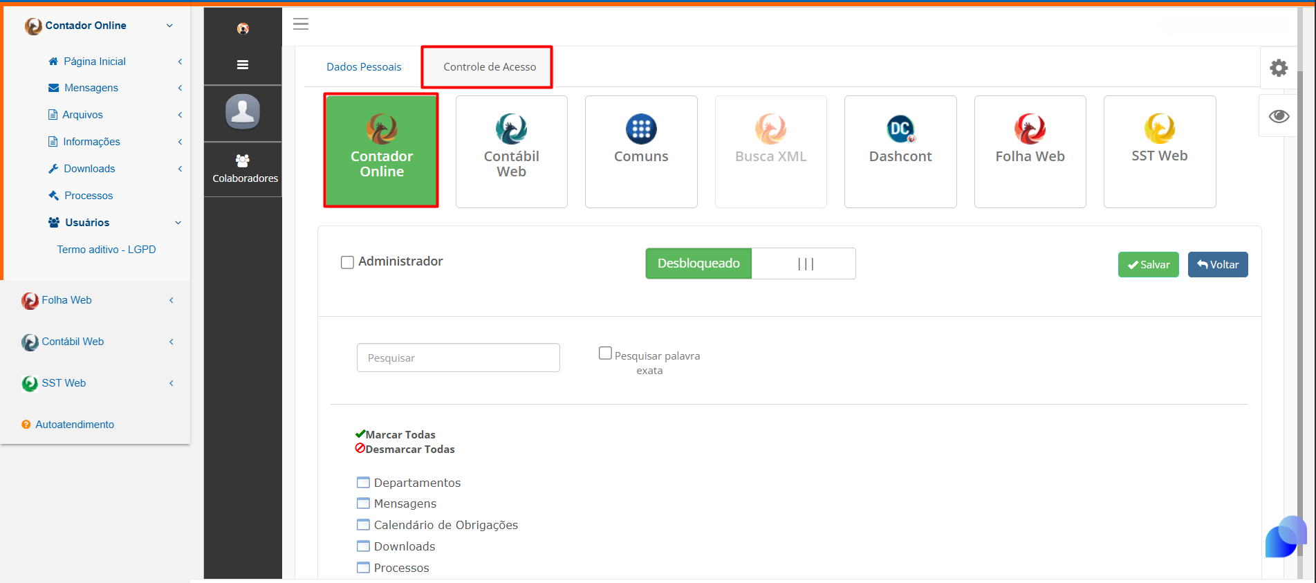 Aba "Controle de Acesso" com o ícone do sistema "Contador Online" selecionado em verde.
