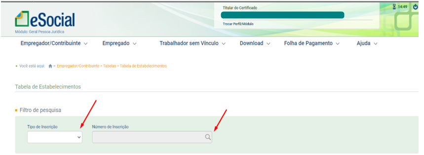 Tela do eSocial na seção Tabela de Estabelecimentos. Setas vermelhas indicam os campos vazios de "Tipo de Inscrição" e "Número de Inscrição".