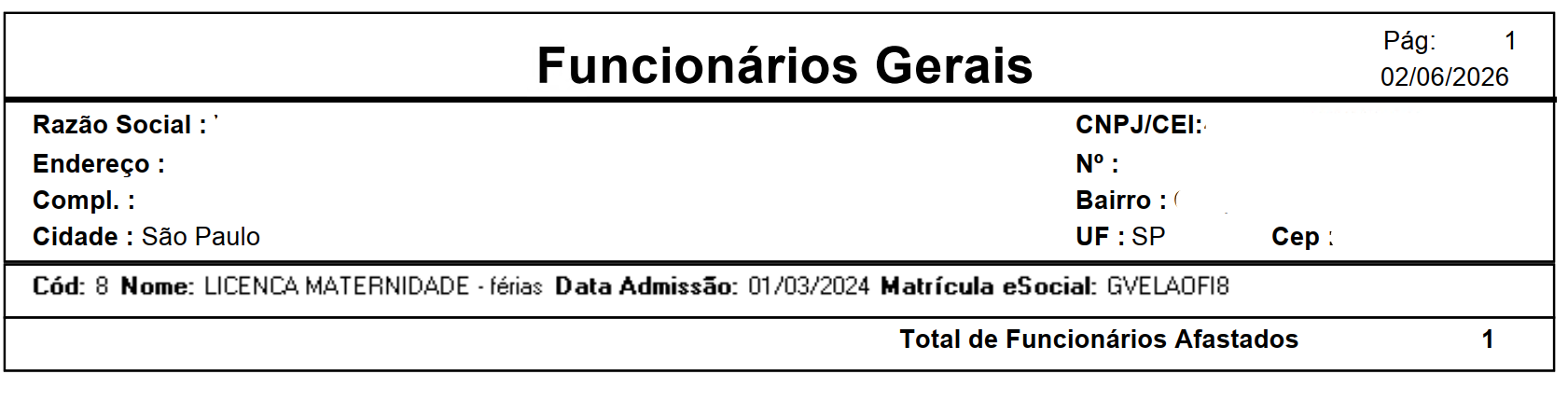 Exemplo de relatório geral de colaboradores gerado com os campos selecionados
