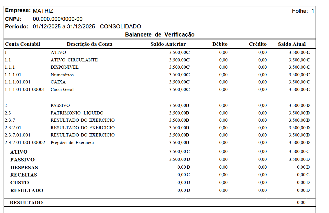 Visualização do relatório de Balancete de Verificação em PDF