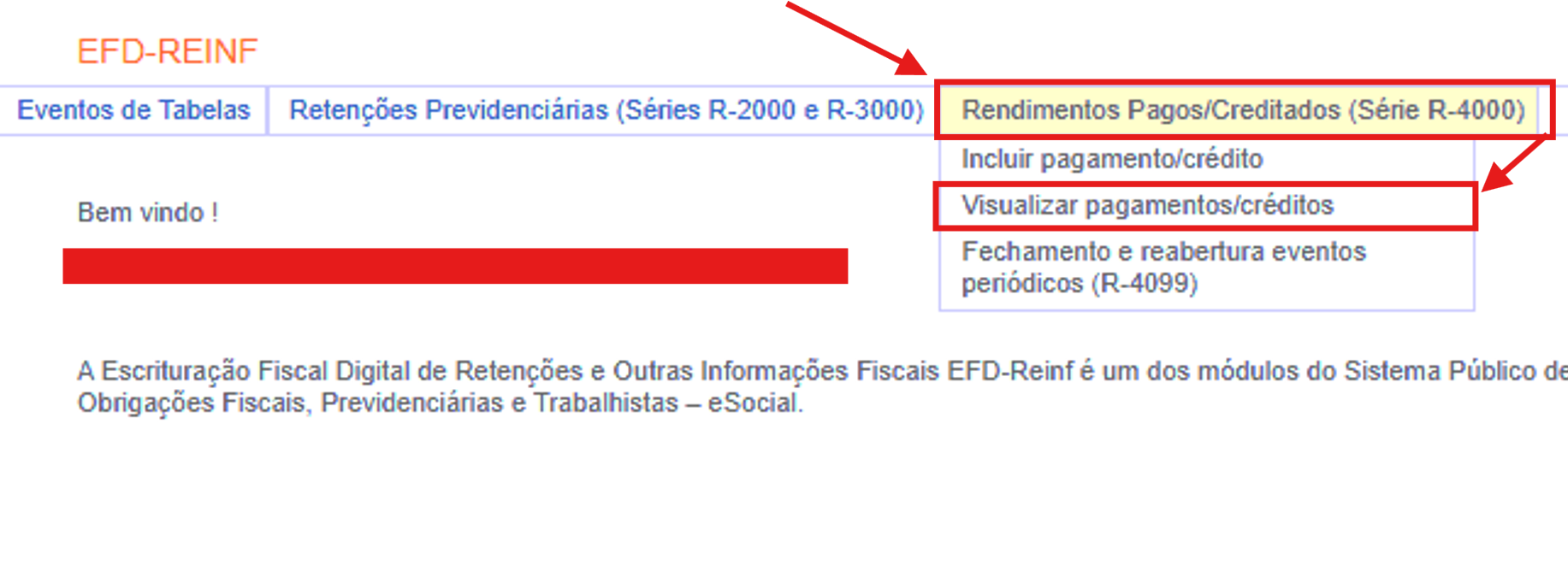 Visualizar pagamentos e créditos na série R-4000