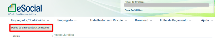 Dados do Empregador no portal eSocial