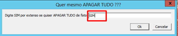 Segunda mensagem de confirmação exigindo a digitação de SIM.