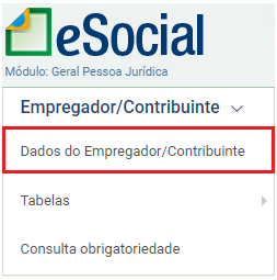 Menu Dados do Empregador no eSocial