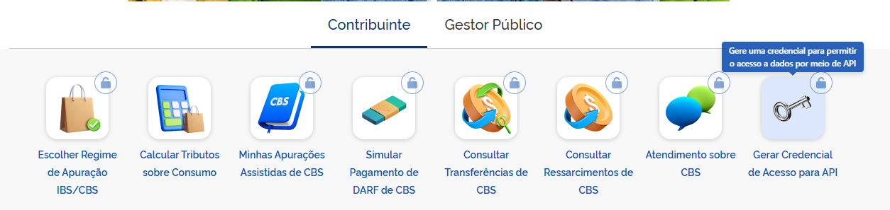 Tela do portal governamental com ícones de serviços tributários e a opção "Gerar Credencial de Acesso para API" destacada.