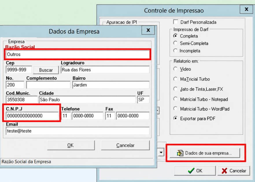 Tela de Controle de Impressão com dados da empresa e do contador